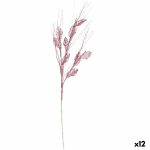 S3627749_0