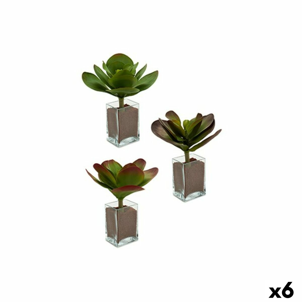 S3624000_0 S3624000_0